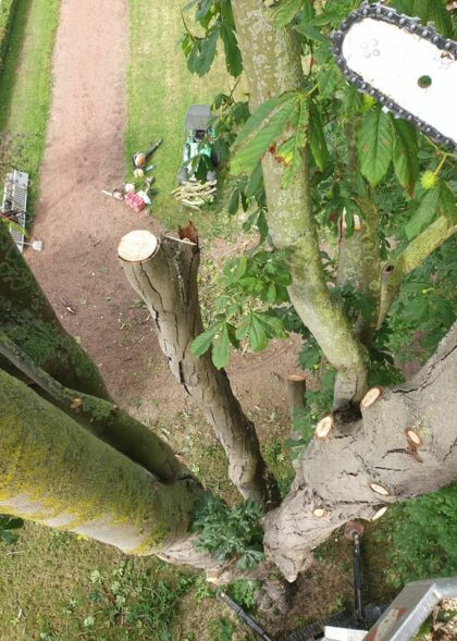 104348642_2612375035698599_3702899353348807260_n