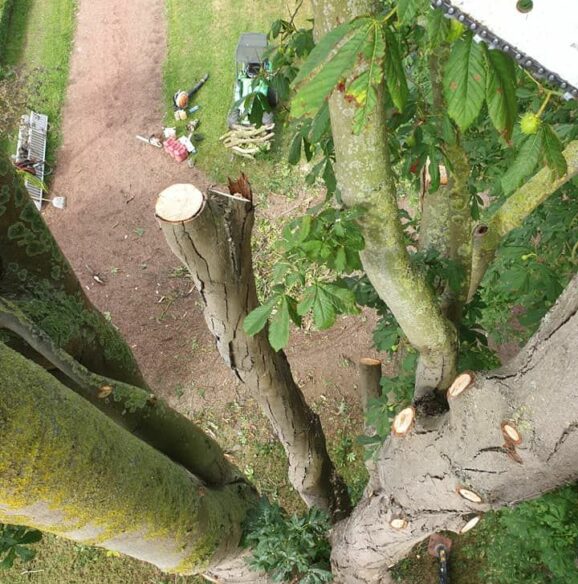 104348642_2612375035698599_3702899353348807260_n