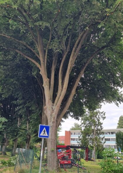 518278514_1273046288157866_8124045479645677608_n