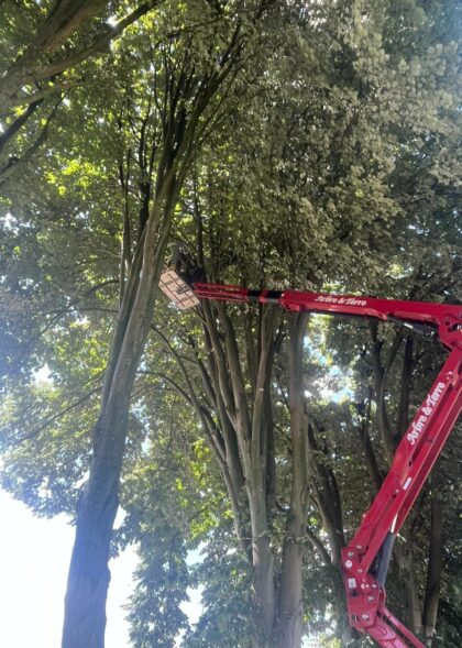 518300741_1273045954824566_2185628741842744994_n