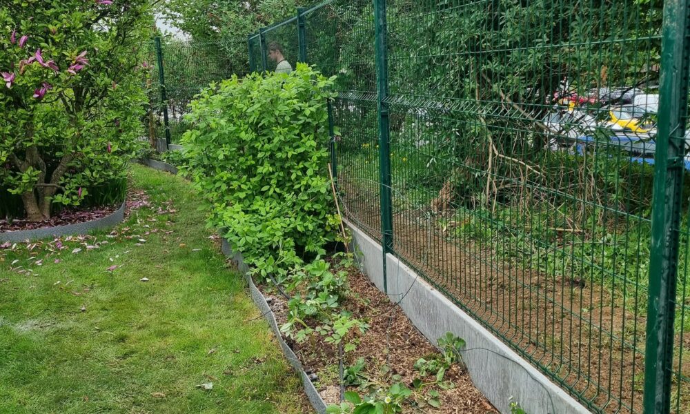 500067449_1233057402156755_7635340026564041143_n