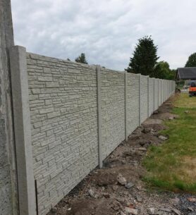 82777569_2608208486115254_7888181987031212977_n