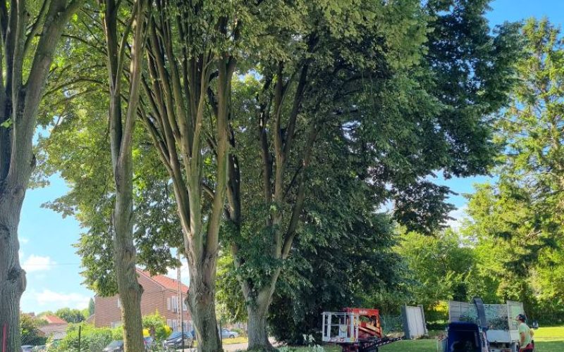 516743040_1273046028157892_318164676087669310_n